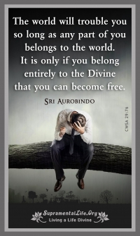 Sri Aurobindo Sayings